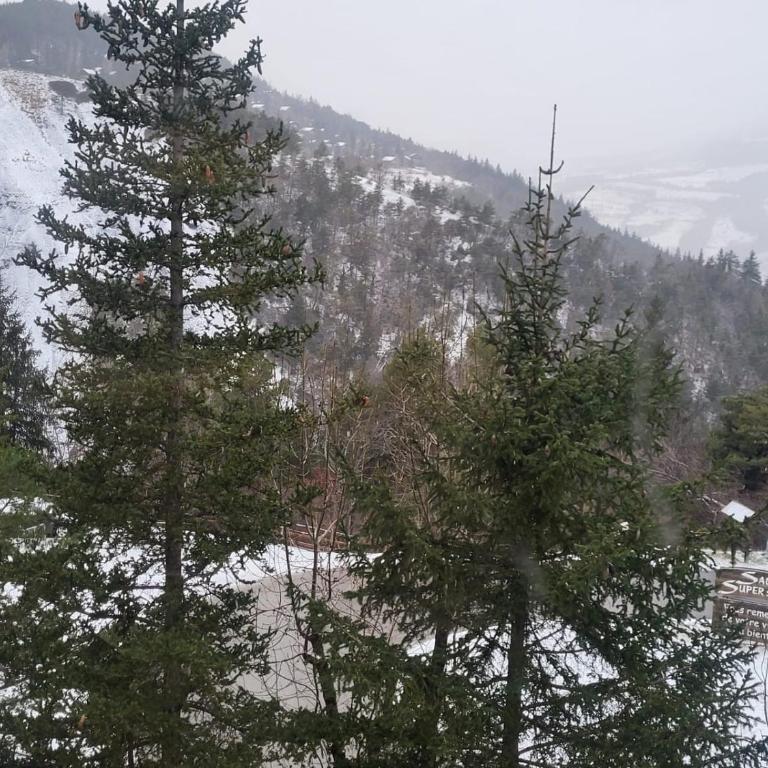 chalet LES GRANDES TERRES - Chalet - 5
