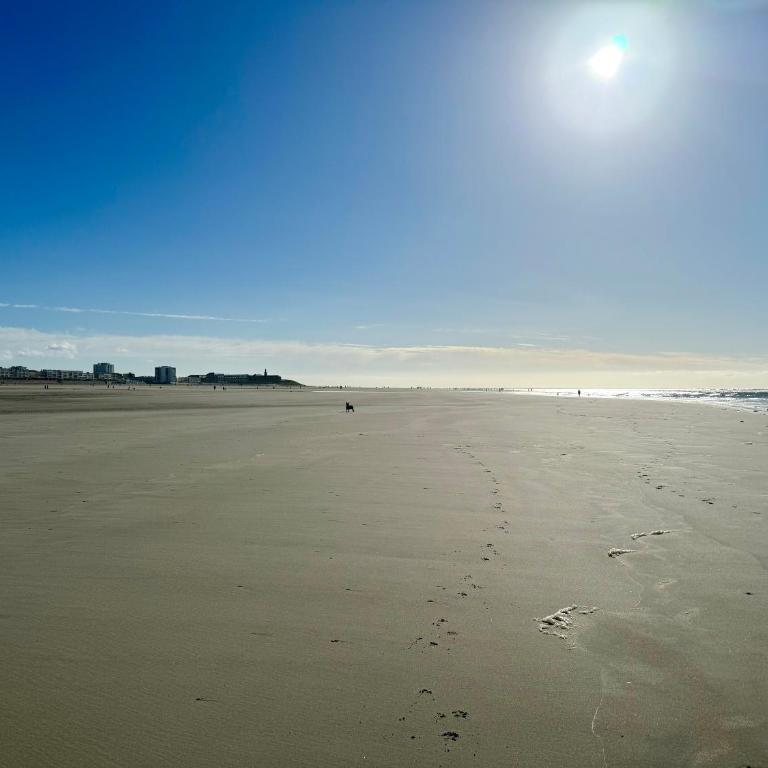 Le paillette T2 400 m de la plage Berck - One-Bedroom Apartment - 27