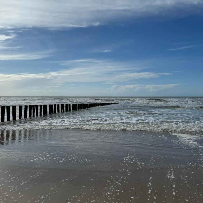 Le paillette T2 400 m de la plage Berck - One-Bedroom Apartment - 32