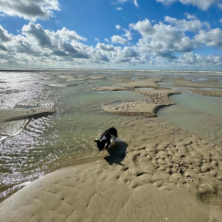 Le paillette T2 400 m de la plage Berck - One-Bedroom Apartment - 26