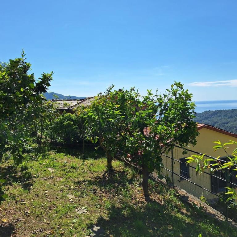 Hillside Haven - Sea View Retreat with Pool access - Casa con 2 Camere da Letto - 10