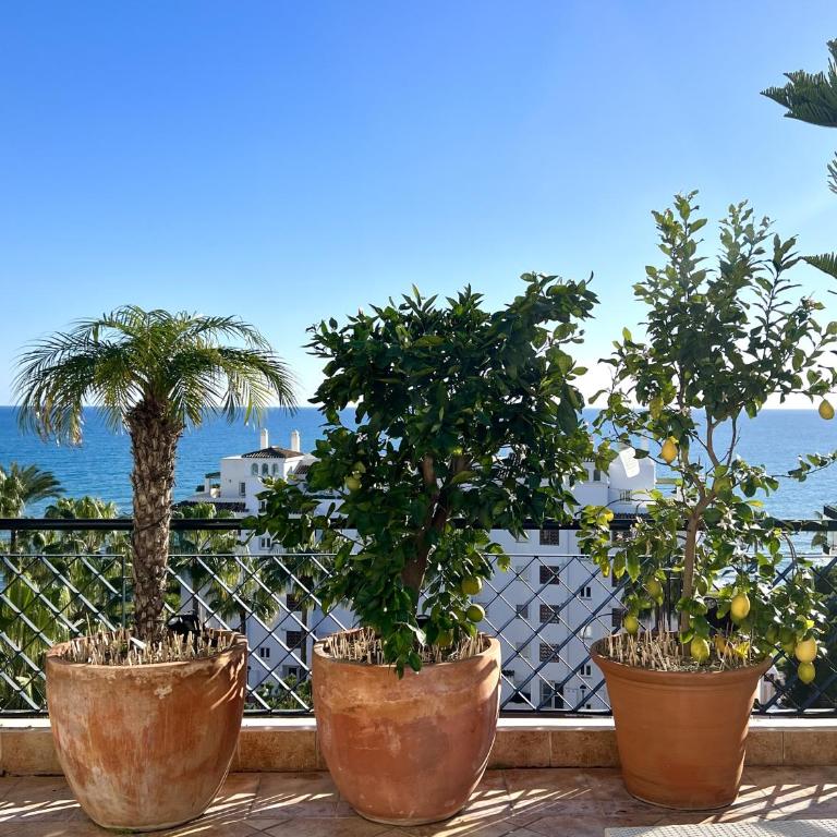 Mi Capricho beachfront penthouse with terrace and sea view - Apartamento de 3 dormitorios con vistas al mar - 16