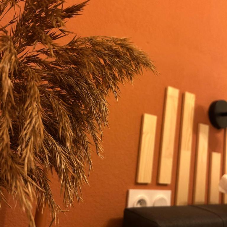 Appart'hôtel - Gare TGV - Avignon - One-Bedroom Apartment - 5