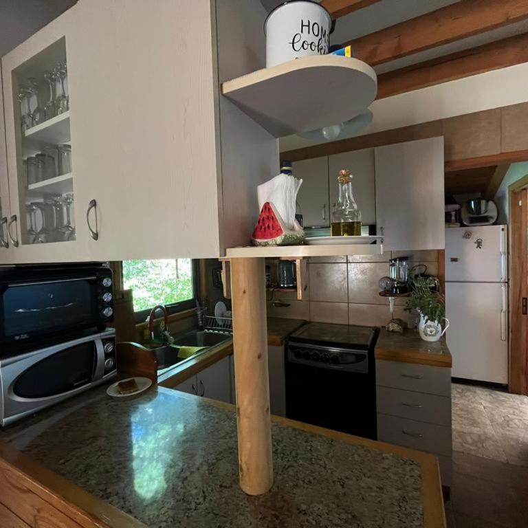 Casa a orilla de Lago Panguipulli - Four-Bedroom House - 21