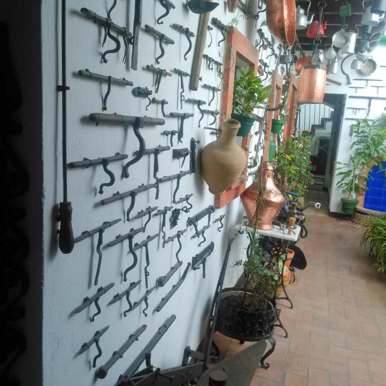 Casa Museo Jerez Centro - Apartamento de 1 dormitorio - 51