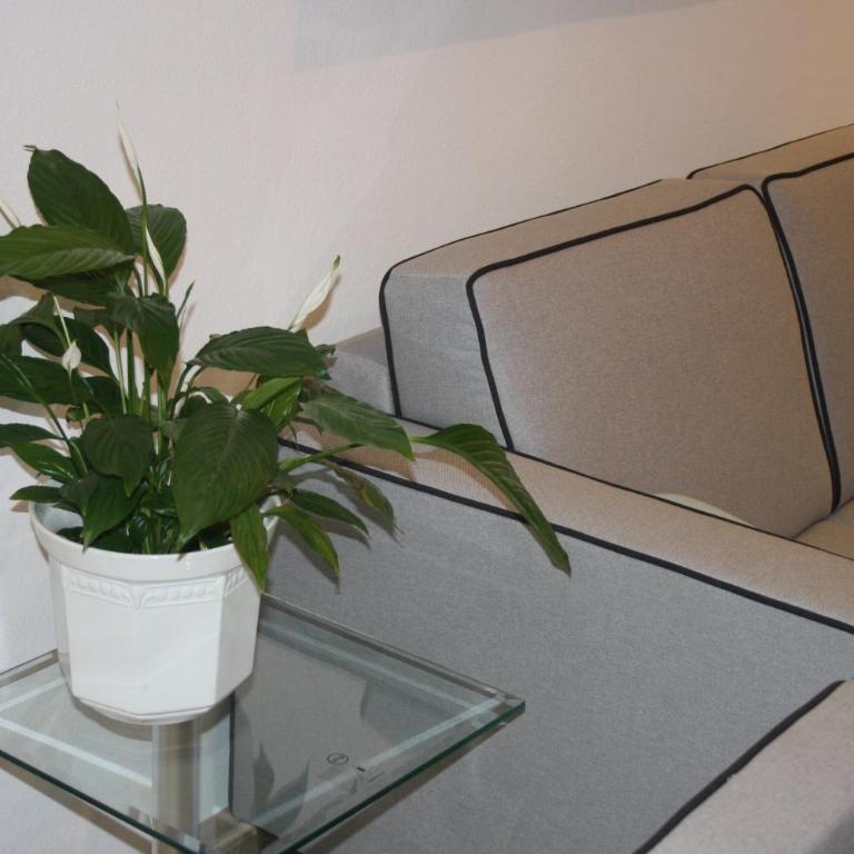 Ferienwohnung am Ortenaupark - Apartment mit Gartenblick - 16