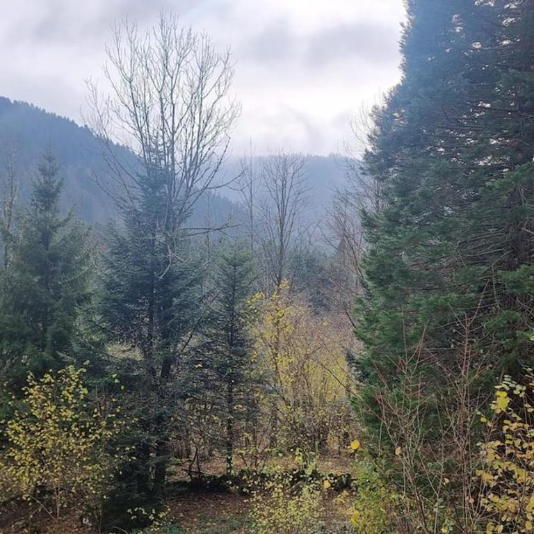 Chalet le Dahu-Calm-Jacuzzi-Free parking lot - Chalet 3 Chambres - 38