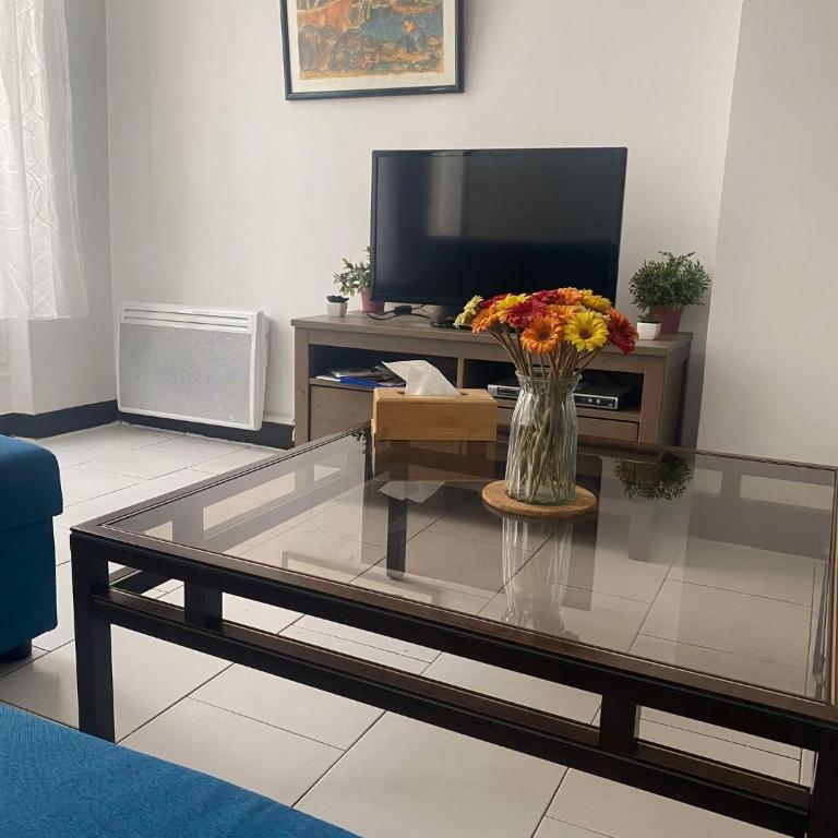 Joli T2 refait à neuf, lumineux et accessible - Appartement 1 Chambre - 3