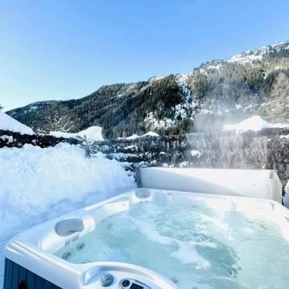 Chalet le petit Nicolas, jacuzzi, vue Mont Blanc - Chalet - 56