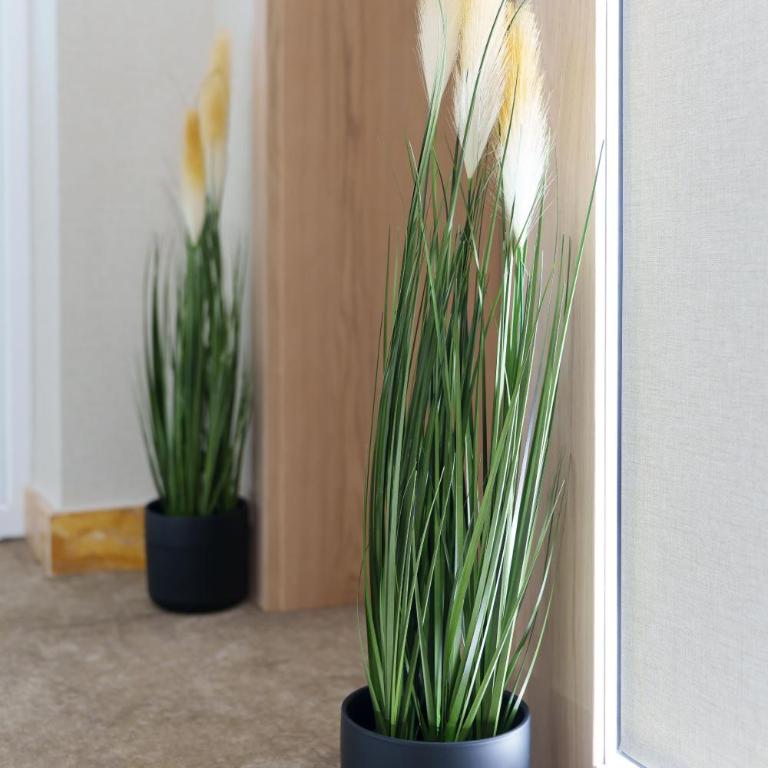 Move In Apartments - ApartHotel Belgrade - Deluks Soba s Bračnim Krevetom i Pomoćnim Ležajem - 7