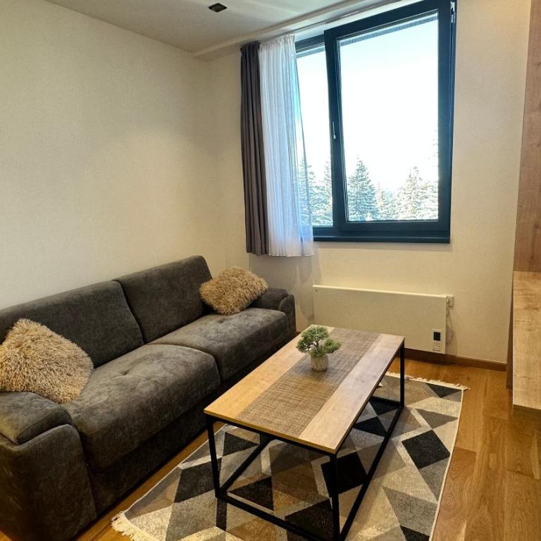 Snowtime Zlatni Javor 407 - One Bedroom Apartment with Mountain View - 2