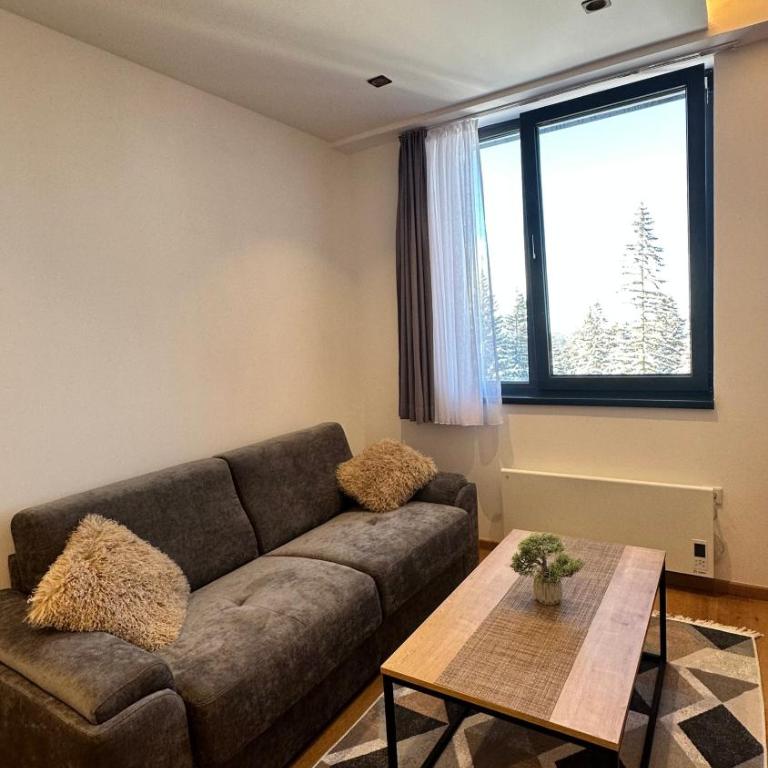 Snowtime Zlatni Javor 407 - One Bedroom Apartment with Mountain View - 39