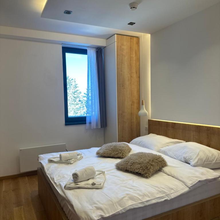 Snowtime Zlatni Javor 407 - One Bedroom Apartment with Mountain View - 41