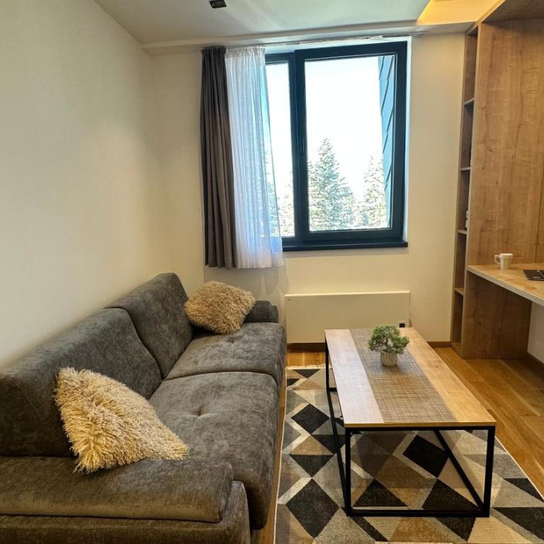 Snowtime Zlatni Javor 407 - One Bedroom Apartment with Mountain View - 40