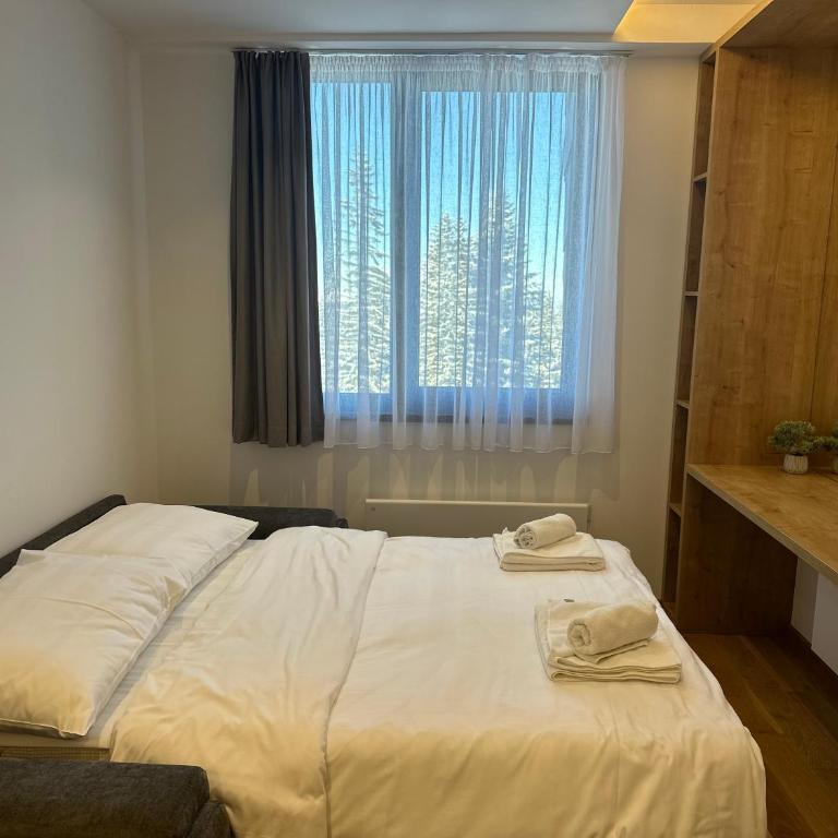 Snowtime Zlatni Javor 407 - One Bedroom Apartment with Mountain View - 3