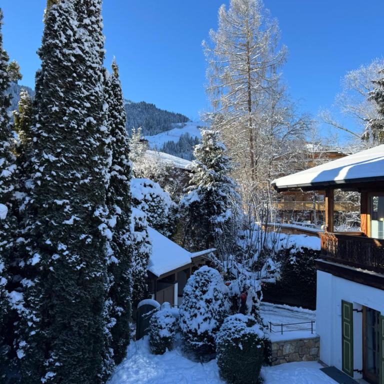 Schönstes Apartment am Hahnenkamm - Apartamento de 1 dormitorio - 18