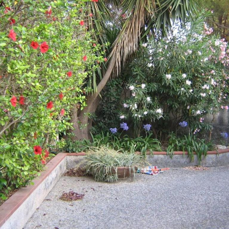 Carlo apartment in villa near the sea - wi-fi - Villa - 4