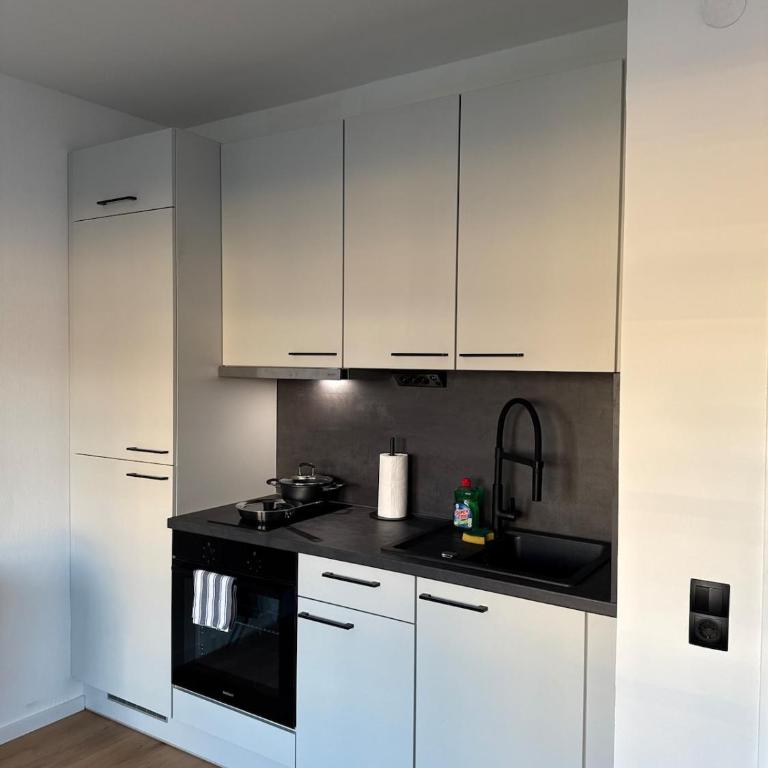 Cozy Linz Apartment, 7 mins to Hauptbahnhof - Apartment mit 1 Schlafzimmer - 8