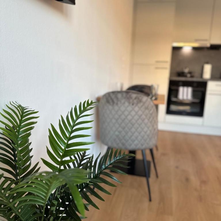Cozy Linz Apartment, 7 mins to Hauptbahnhof - Apartment mit 1 Schlafzimmer - 17
