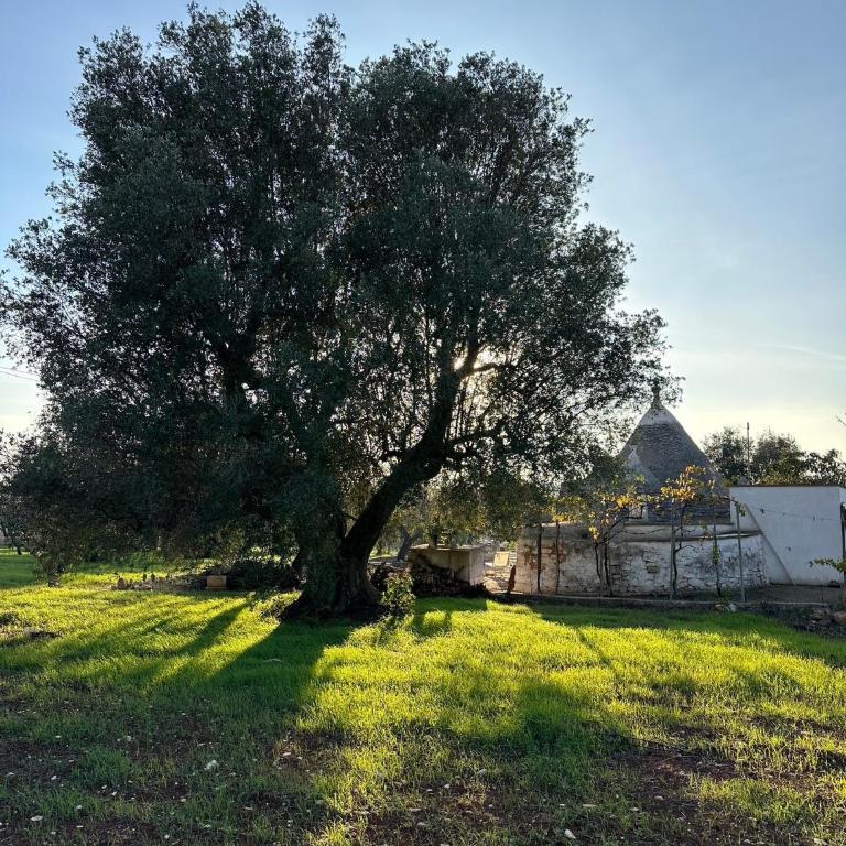 Trullo Jazzo Ostuni - Casa con 1 Camera da Letto - 28