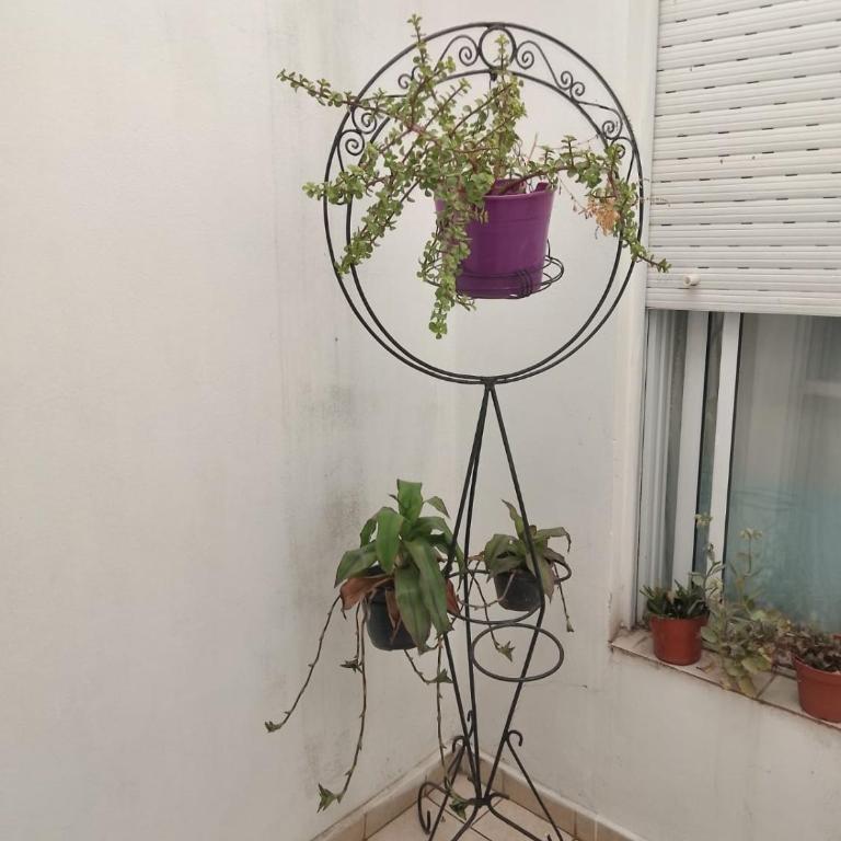 DEPTOS VM Complejo x 3 - Apartamento - 10
