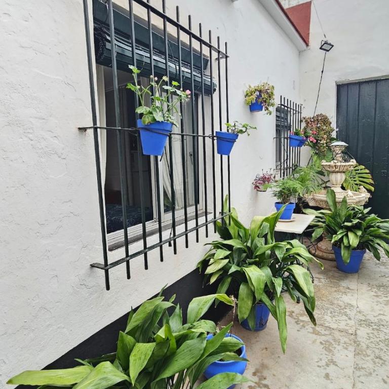 Casa de la Abuela Rosario - Apartamento de 1 dormitorio - 9