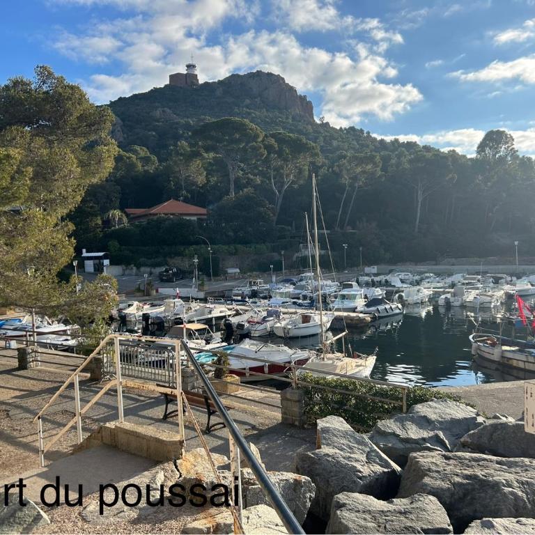 Superbe studio 4/5 pers dans résidence cap esterel - Appartement 1 Chambre - 11