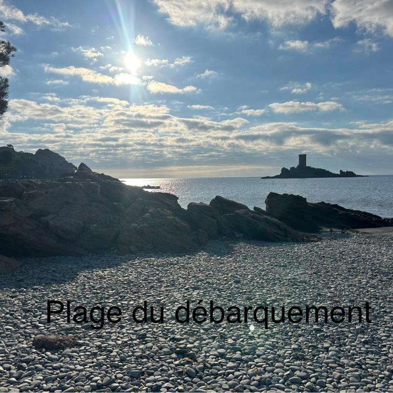 Superbe studio 4/5 pers dans résidence cap esterel - Appartement 1 Chambre - 5