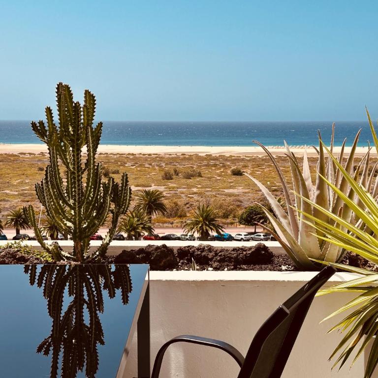 Amazing Luxury Apartment, La Casa del Corazon - Casa - 18
