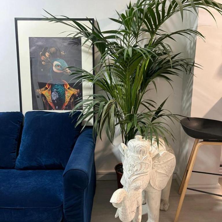 Casa Sana Corazón - Barrio Salamanca - Loft - 14