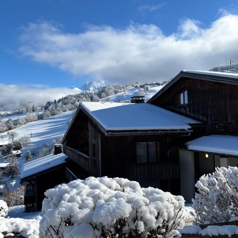 Grand studio Combloux - Vue Mont Blanc - Appartement 1 Chambre - 9