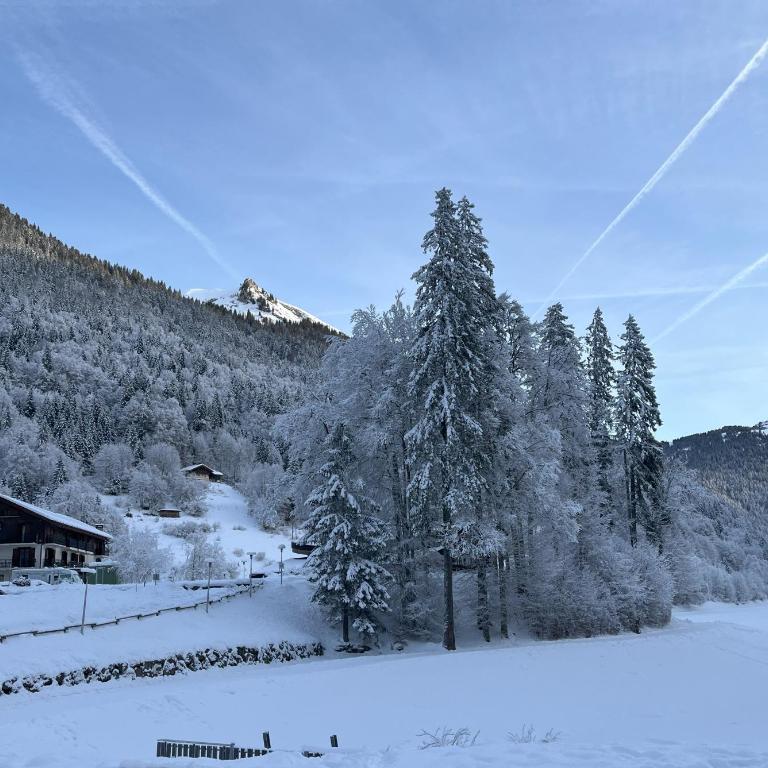 Chalet Alpaga - Chalet - 46
