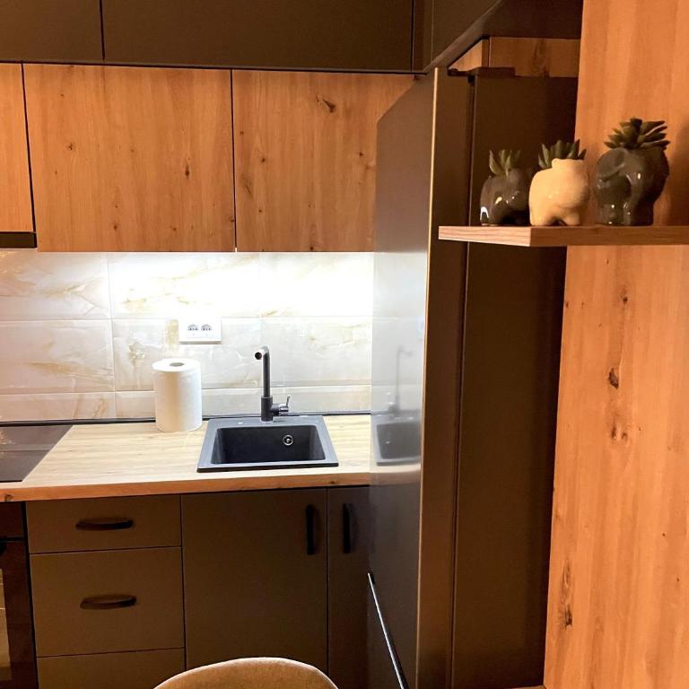 Apartman Vuk - One-Bedroom Apartment - 8