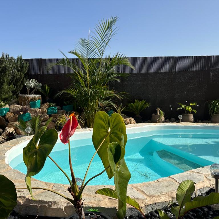 Krisant Gold Rural Luxury Privat Pool - Villa con piscina privada - 48