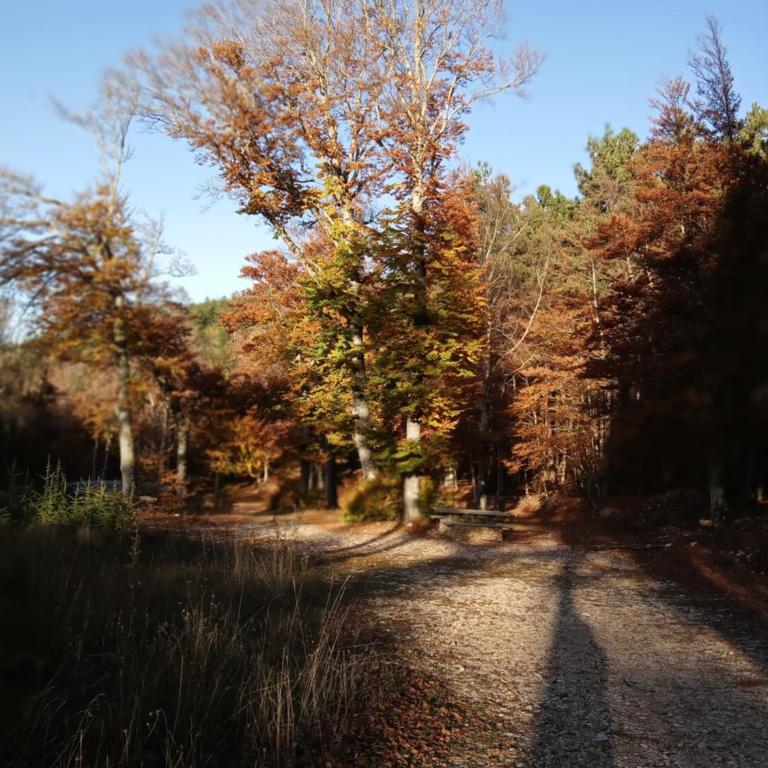 Les Gites du Mont Ventoux - Casa con 2 Camere da Letto - 47
