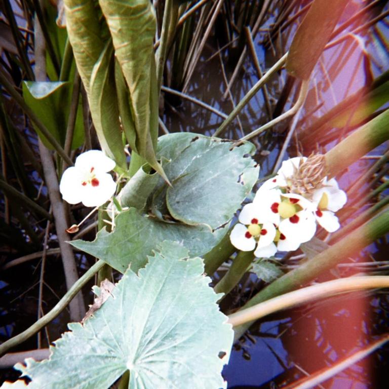 Casa La Sarita - Casa - 32