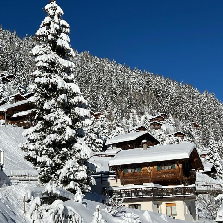 Chalet Etoile - Superior Chalet - 2