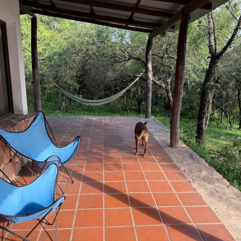 Cabañas Siesta Serrana - Chalet de 1 dormitorio - 14