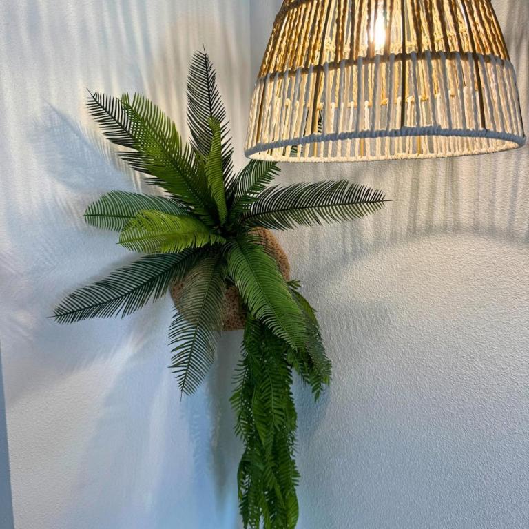 Jungle - Vue - Clim - Wifi - One-Bedroom Apartment - 15