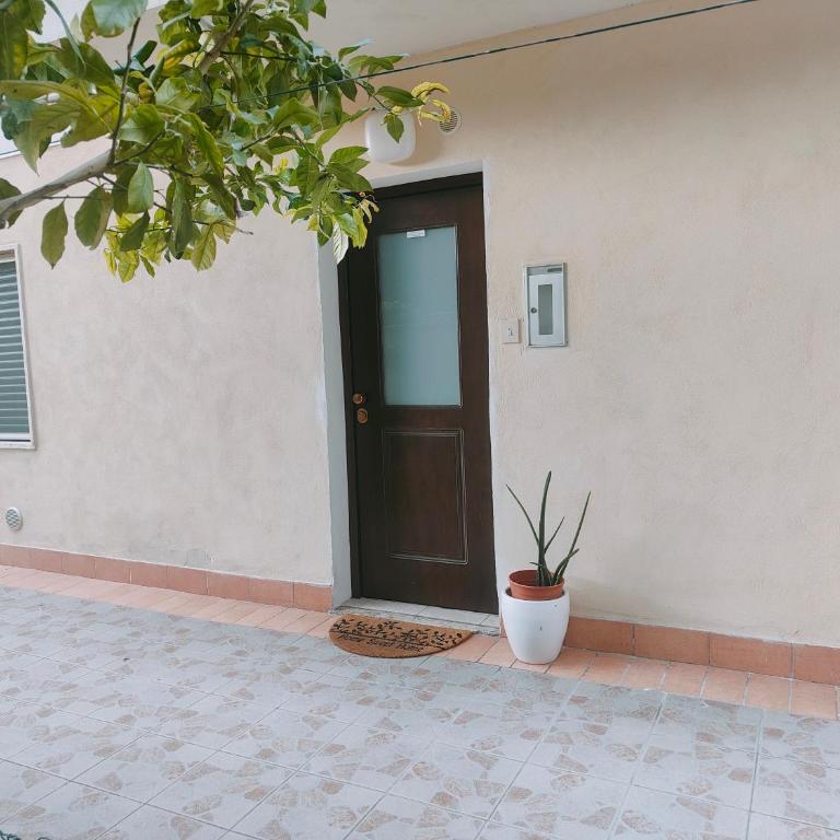Appartamento Piano Terra Pineta Mare - Appartamento Standard - 25
