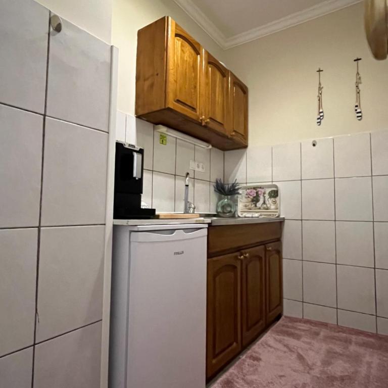 Luka-Mostar Free Parking with eCharger - One-Bedroom Apartment - 19