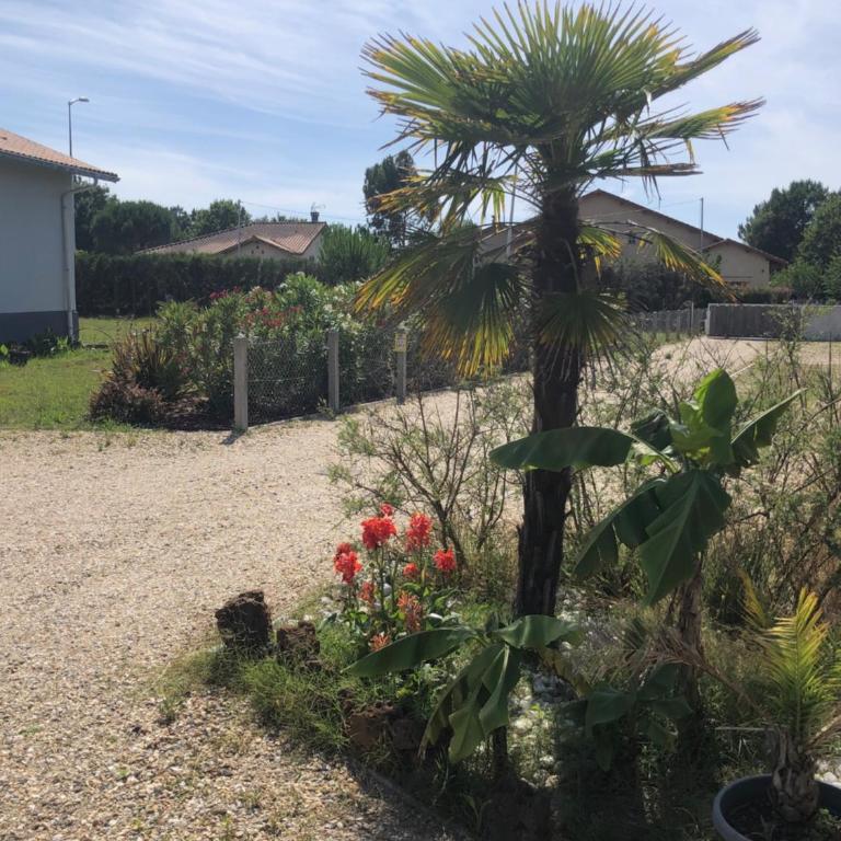 "Les Logis d'Argent Mimizan Chambre d'hôte qualité HOTEL avec WC, SDB, TV, Wifi, Option Petit Déjeuner , Parking - Chambre Double avec Salle de Bains Privative - 5