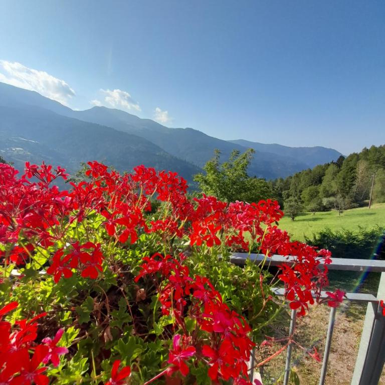 Chalet Dolomiti Trentino - Haus mit 3 Schlafzimmern - 34