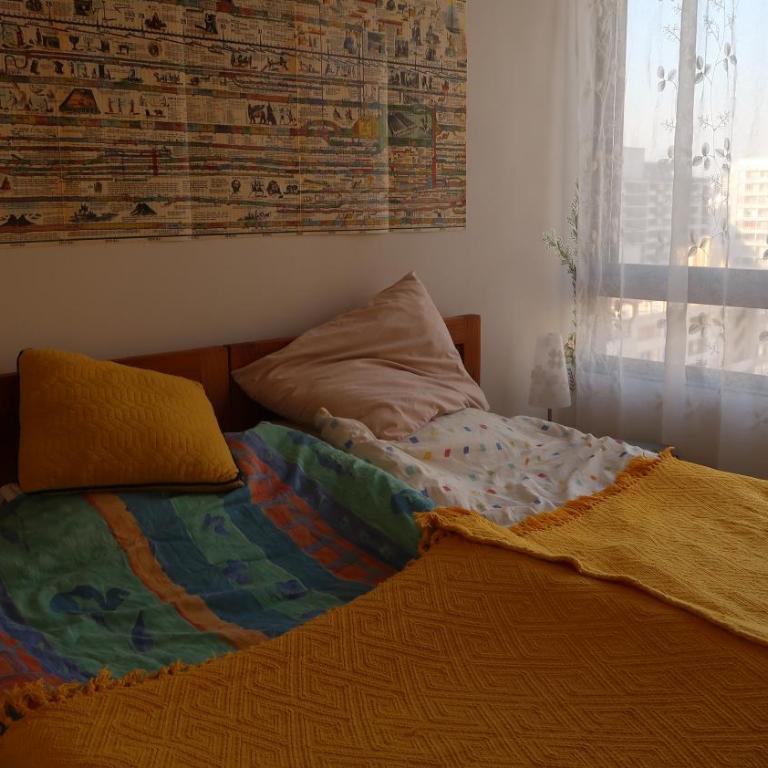 Cómodo y luminoso lugar en el Centro de Santiago - Apartamento de 1 dormitorio - 1