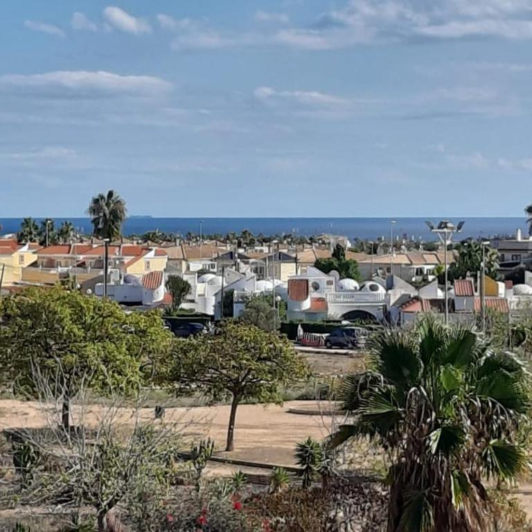 Solarium, pool & views in Playa Flamenca - Apartamento de 2 dormitorios con terraza y vistas al mar - 7