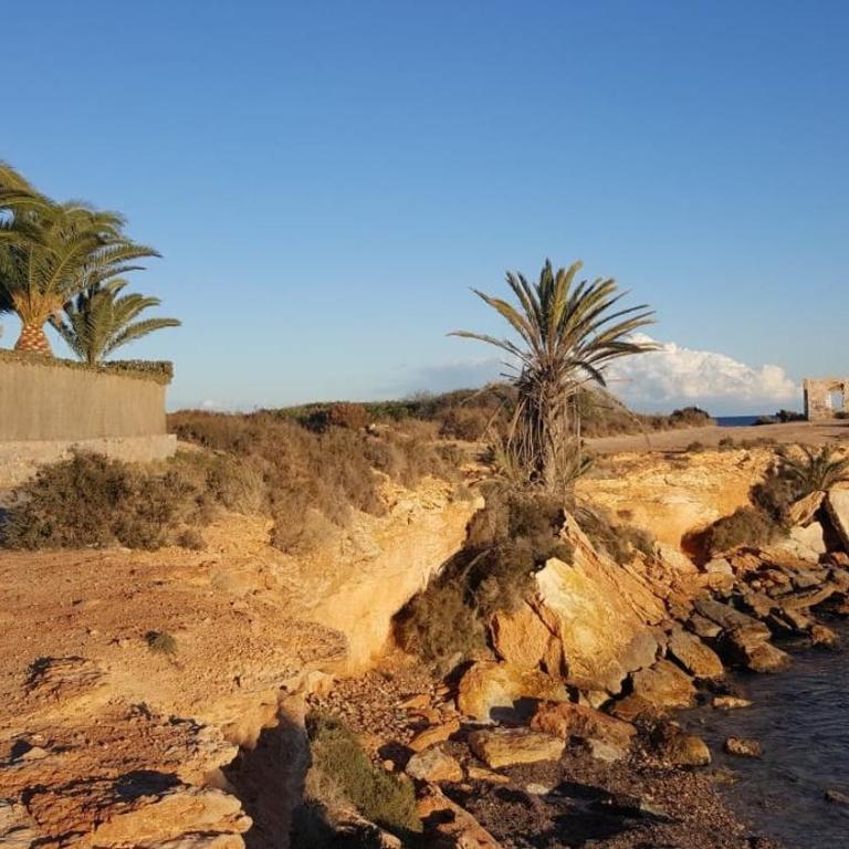 Solarium, pool & views in Playa Flamenca - Apartamento de 2 dormitorios con terraza y vistas al mar - 35