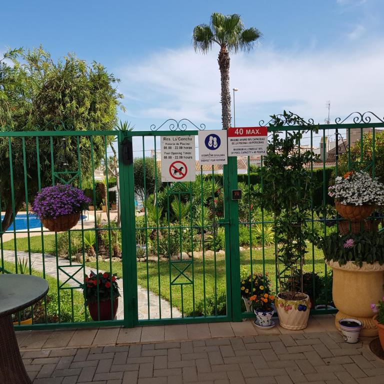 Solarium, pool & views in Playa Flamenca - Apartamento de 2 dormitorios con terraza y vistas al mar - 6
