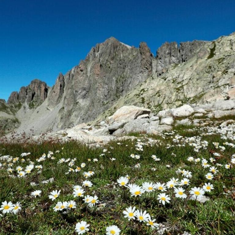 Chalet Dolomiti Trentino - Haus mit 3 Schlafzimmern - 32