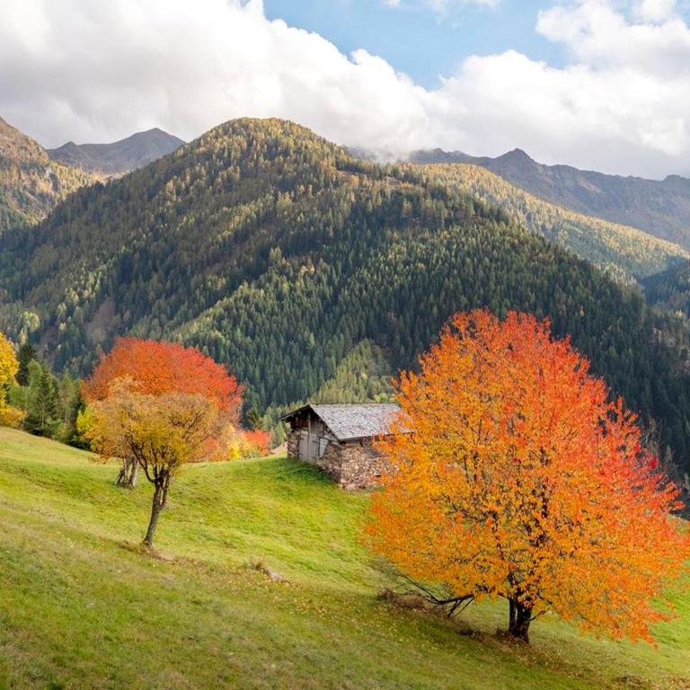 Chalet Dolomiti Trentino - Haus mit 3 Schlafzimmern - 38