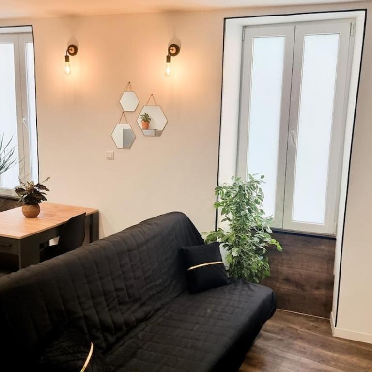 Bel appartement proche Annecy Aix-les-bains Genève - Appartement 1 Chambre - 2